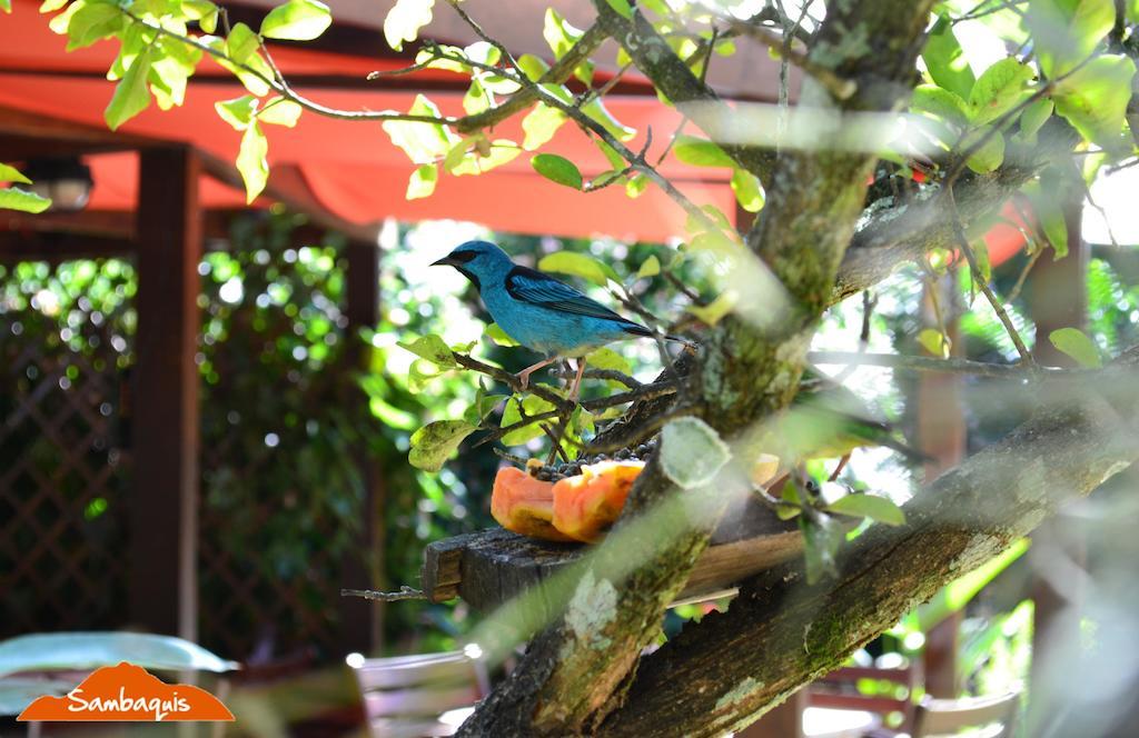 Pouso Sambaquis Hotel Ilhabela Exterior photo